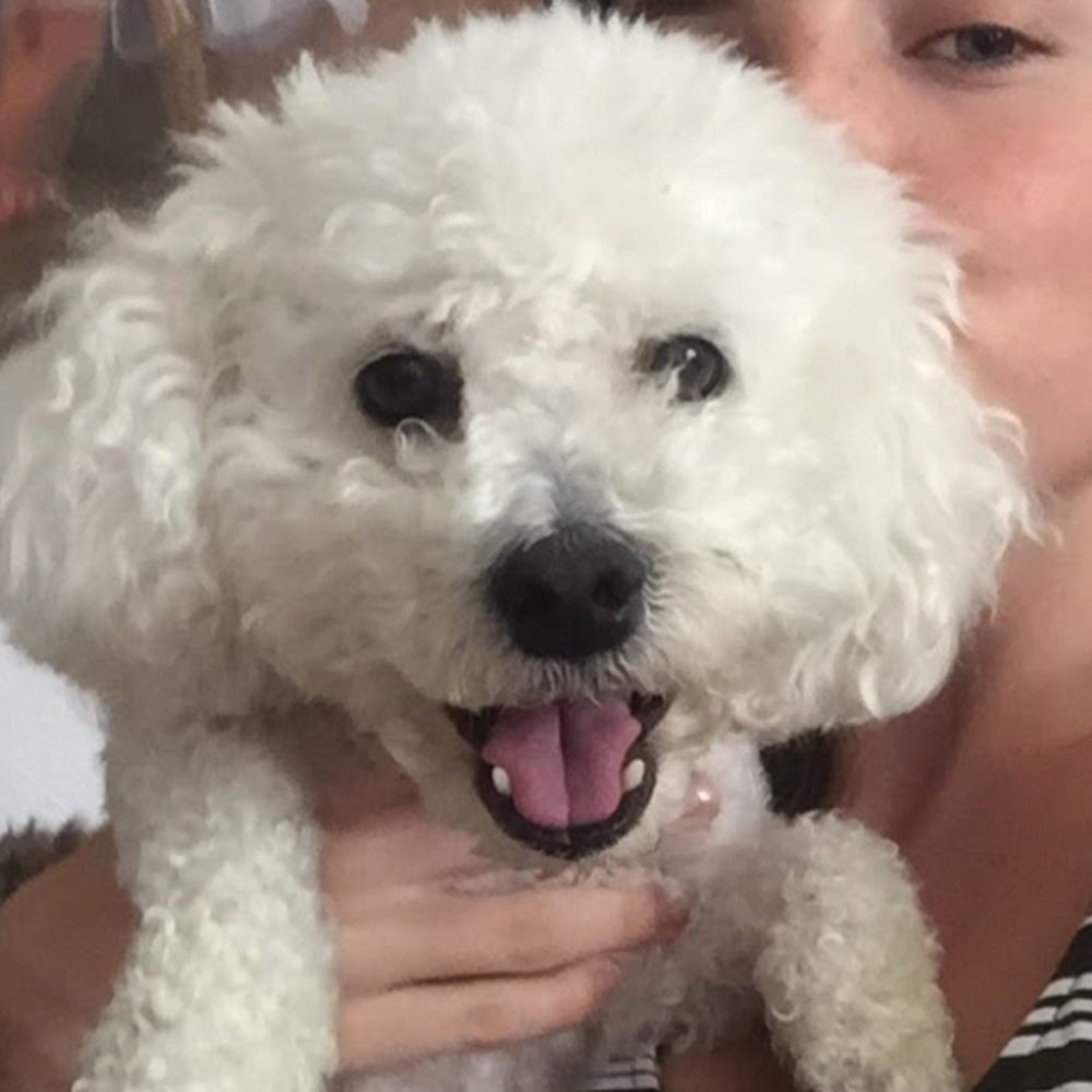 Meet your Posher, Isabella